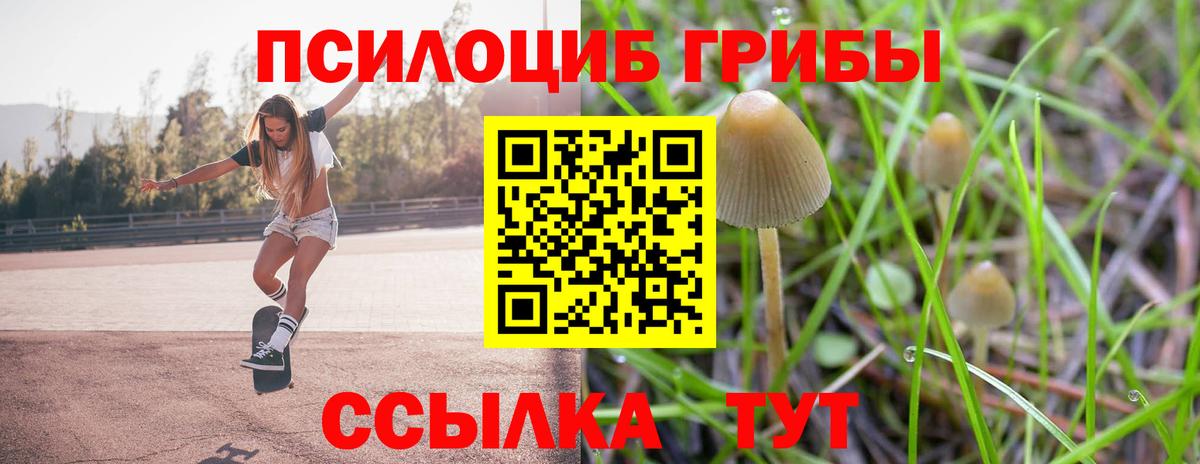 Галлюциногенные грибы Psilocybine cubensis Тольятти